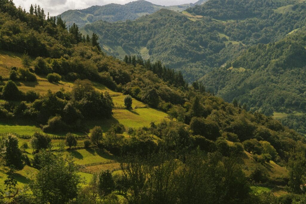 Beaver Brook - Agricultural Land Reclamation Services - Featured Photo