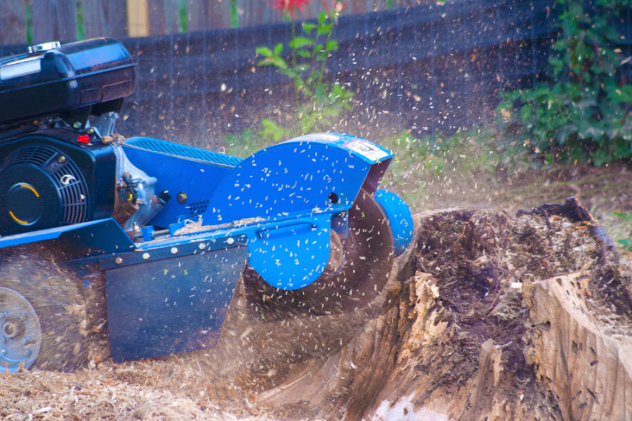 Beaver Brook Forestry - Machine Grinding Tree Stump Out Of The Ground - Professional Stump Grinding Benefits Blog